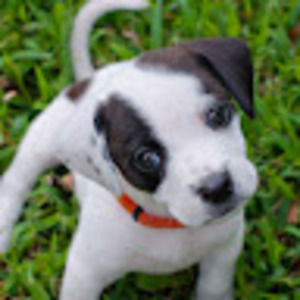 Meet your Posher, Lexie